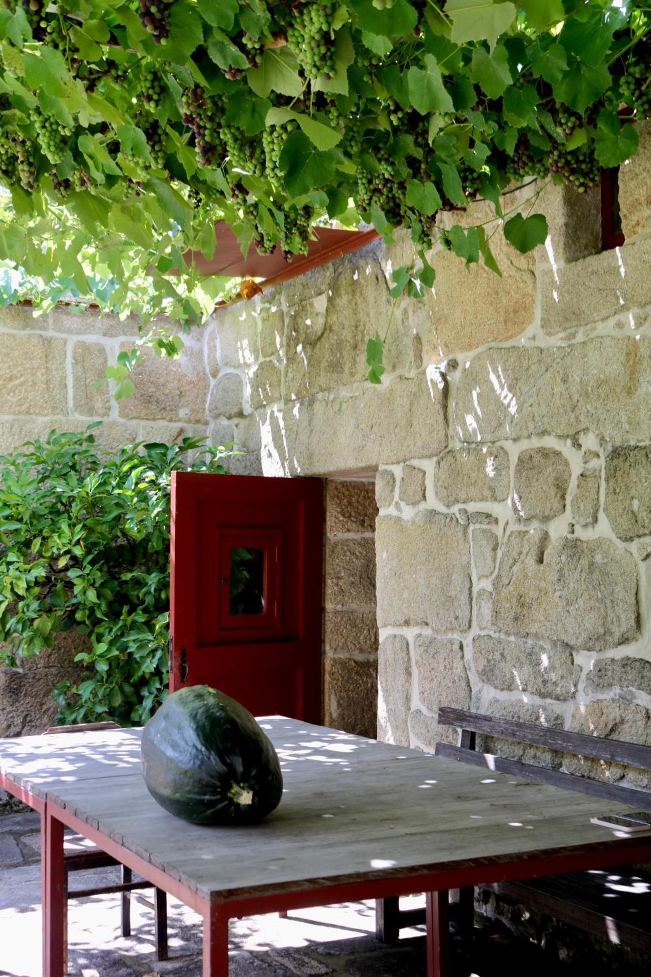 فيلا Casa Da Eira Marco de Canavezes المظهر الخارجي الصورة